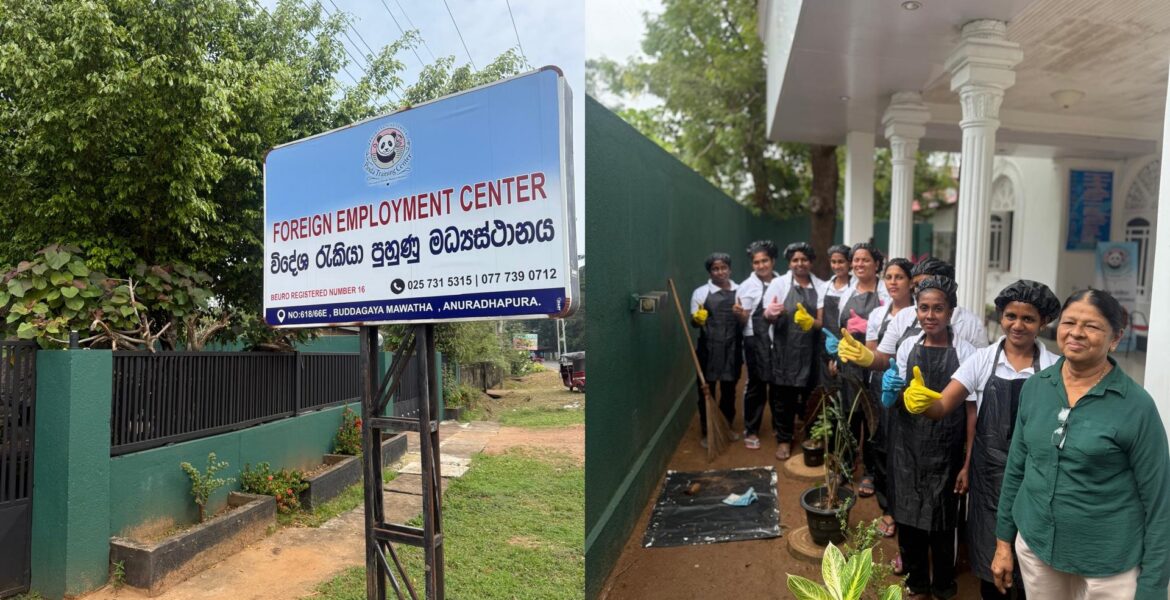 gandr-collage - 2026-02-19T115641.409