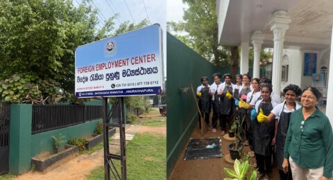 gandr-collage - 2026-02-19T115641.409