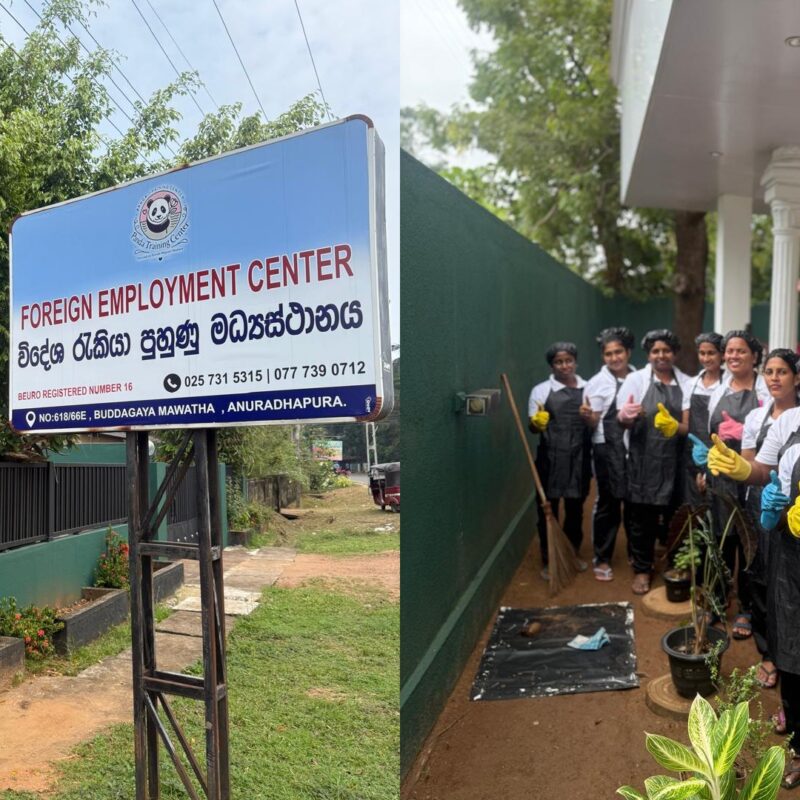 gandr-collage - 2026-02-19T115641.409